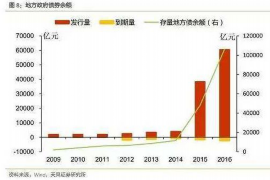 大兴安岭要账公司更多成功案例详情